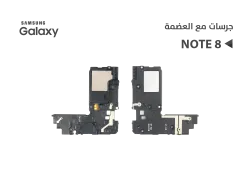 ASA جرسات مع العضمة NOTE8 - منتج عالي الجودة من مجموعة السيفي