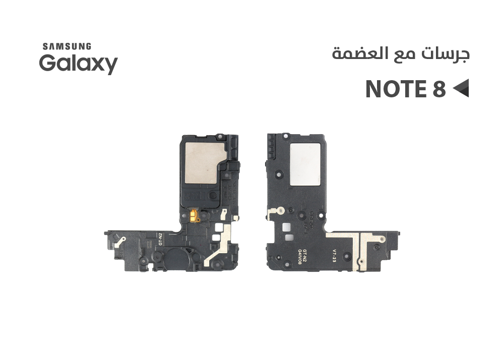 ASA - جرسات مع العضمة NOTE8