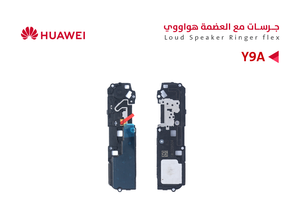 ASA - جرسات مع العضمة Y9A 2020 - FRL